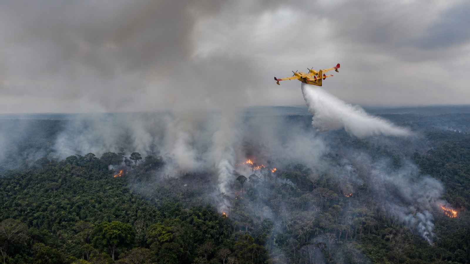 Pará lidera focos de incêndio no país e Santarém tem ar muito insalubre