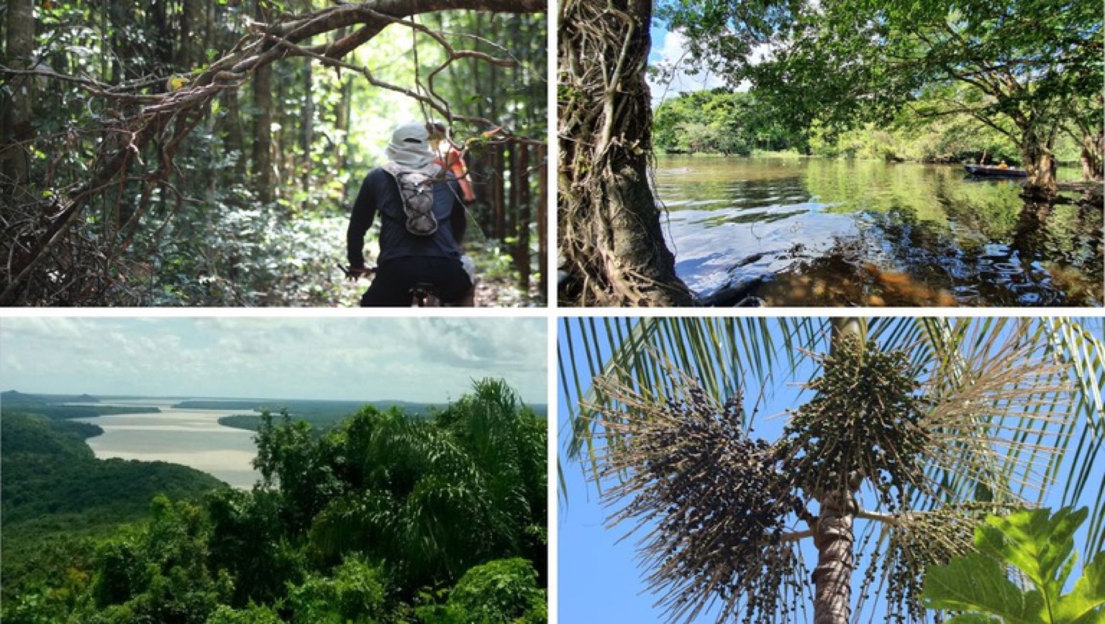 Trilha Amazônia Atlântica impulsiona ecoturismo no Pará
