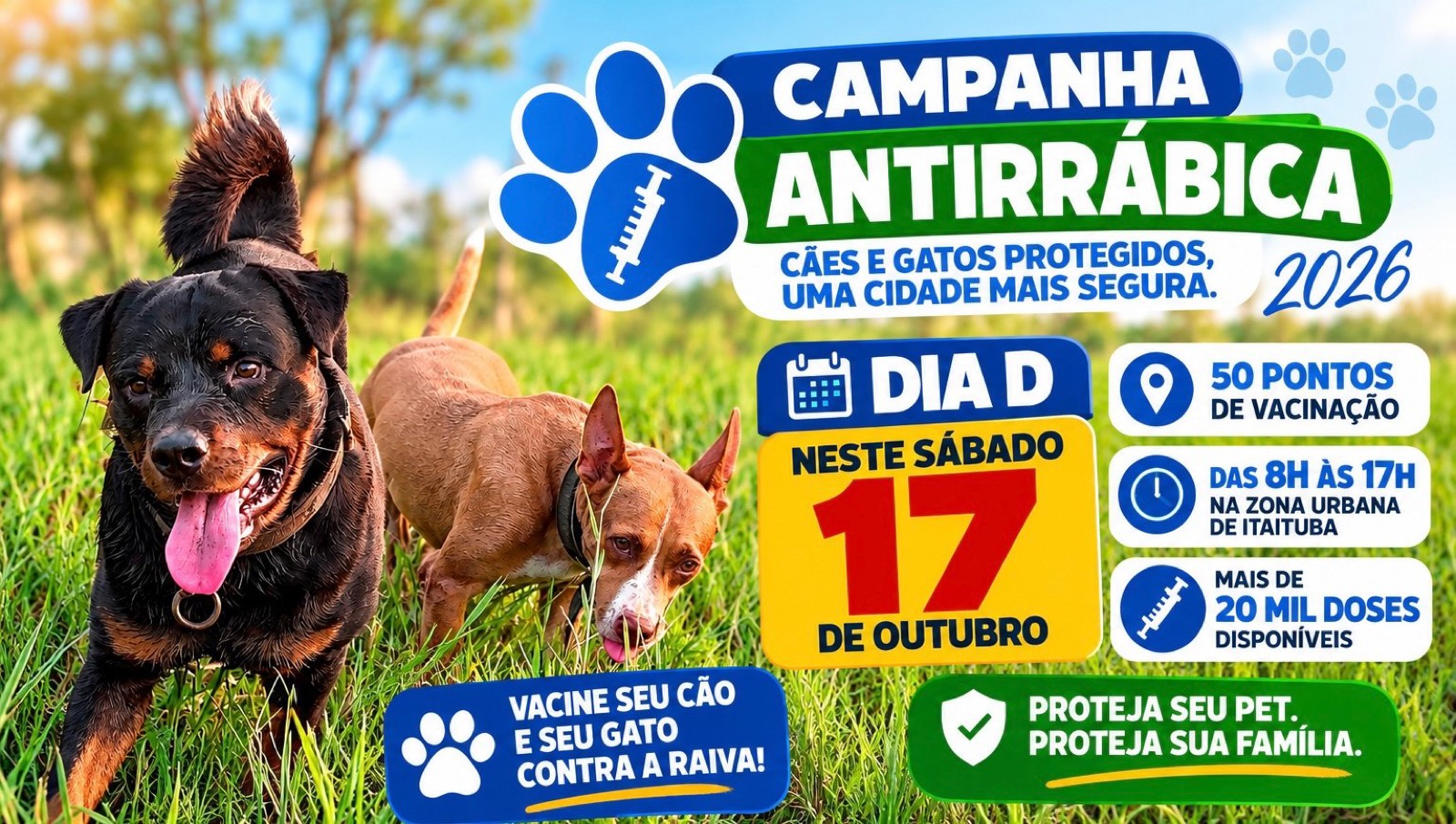 Itaituba realiza Dia D de vacinação antirrábica neste sábado (17)
