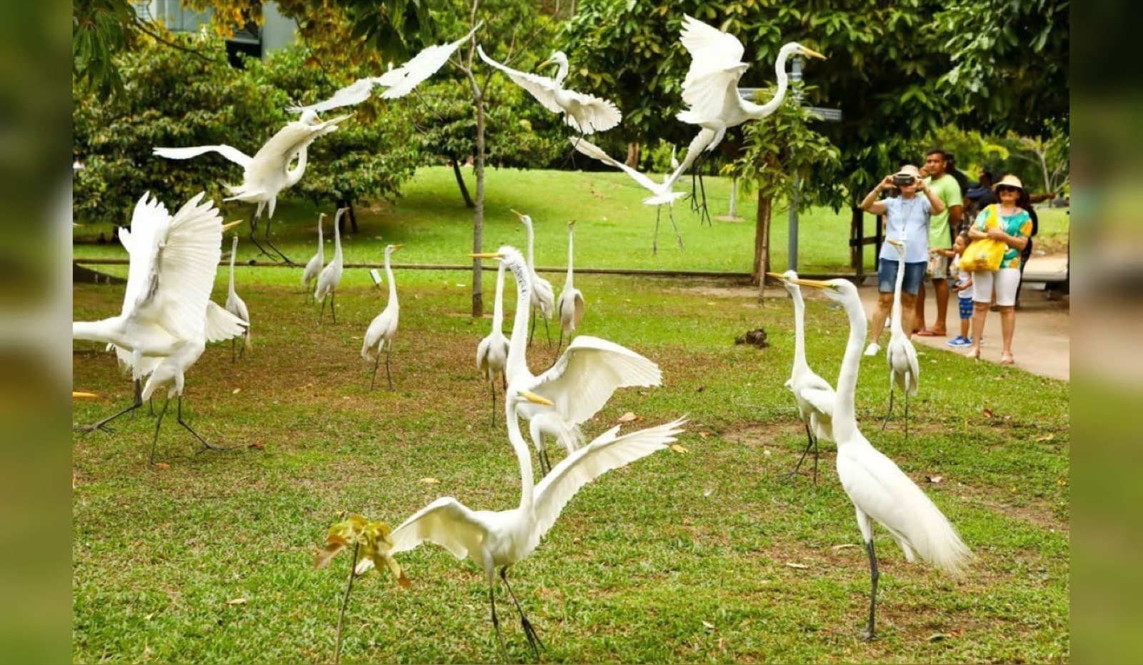 Feriado de 12 de outubro: veja o que abre e fecha em Belém - Diário do Pará