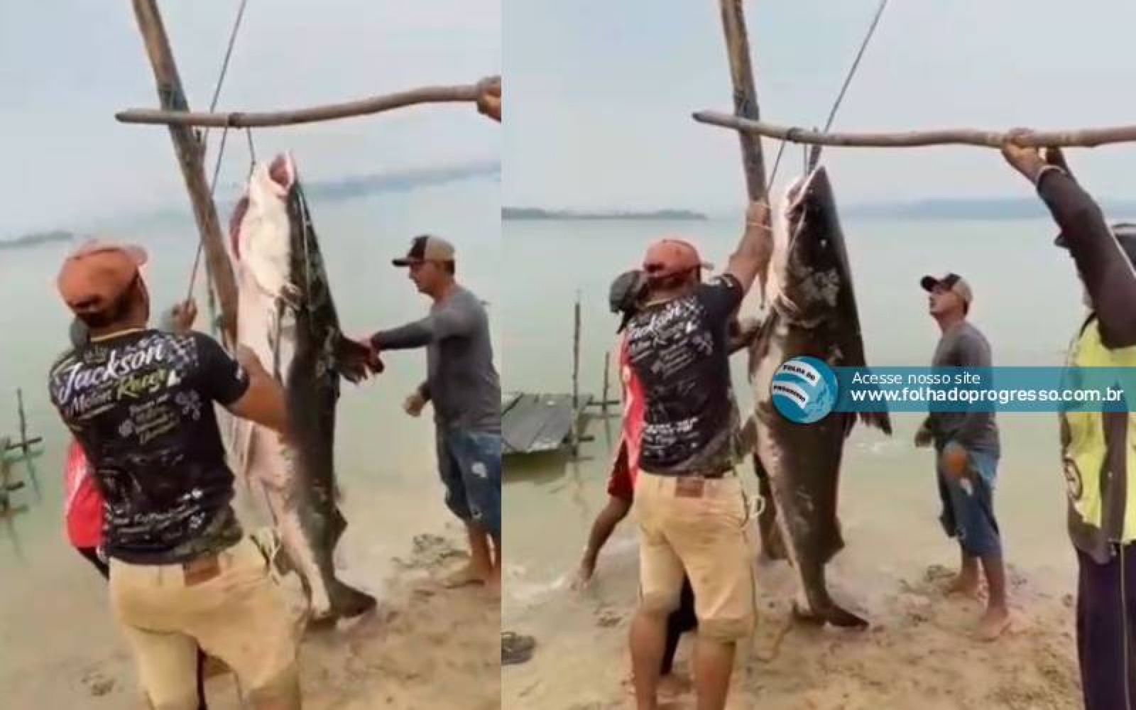 Piraíba gigante é capturada no Rio Tapajós, em Jacareacanga; vídeo